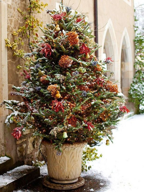 natural-outdoor-christmas-tree