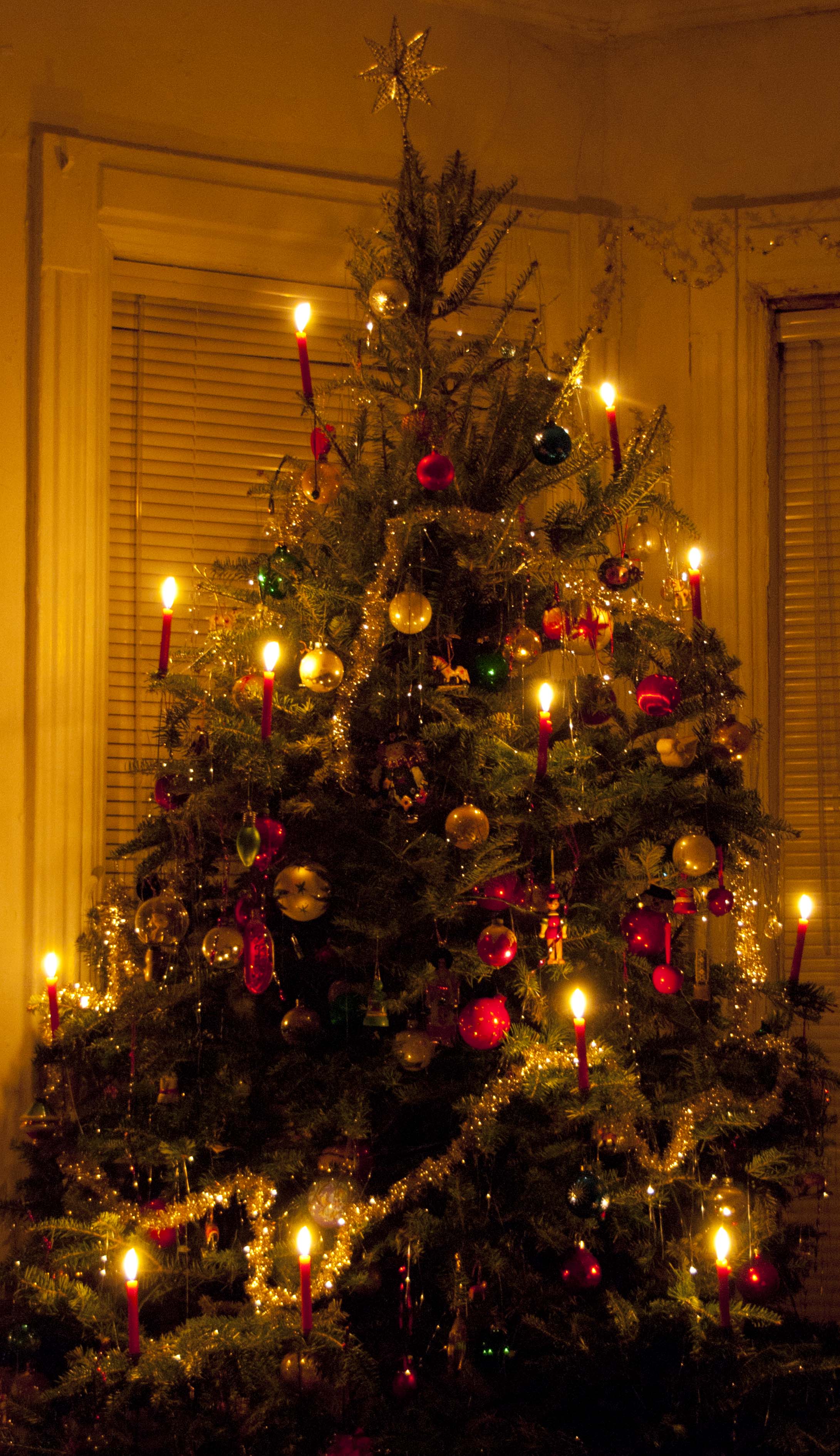 old-fashioned-christmas-tree-lights