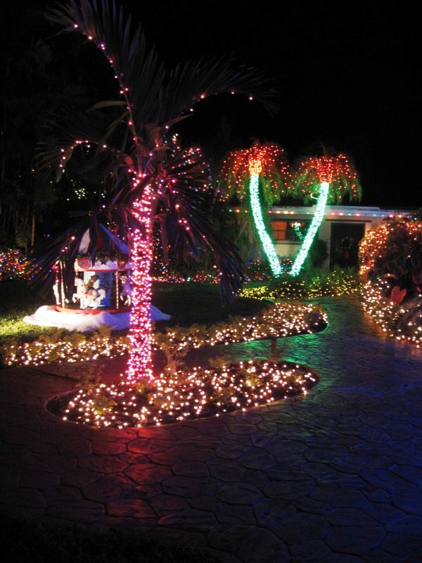 outdoor-christmas-light-decorations-ideas