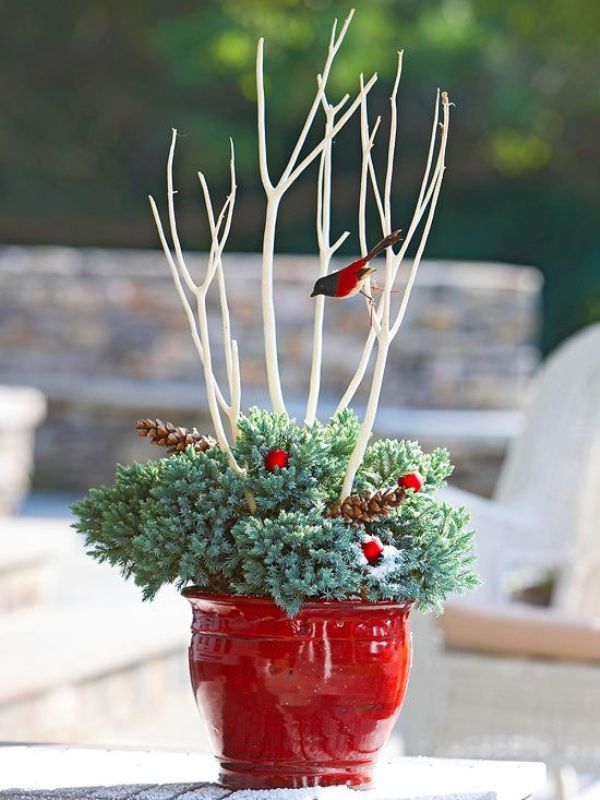 outdoor-christmas-pot-decorations