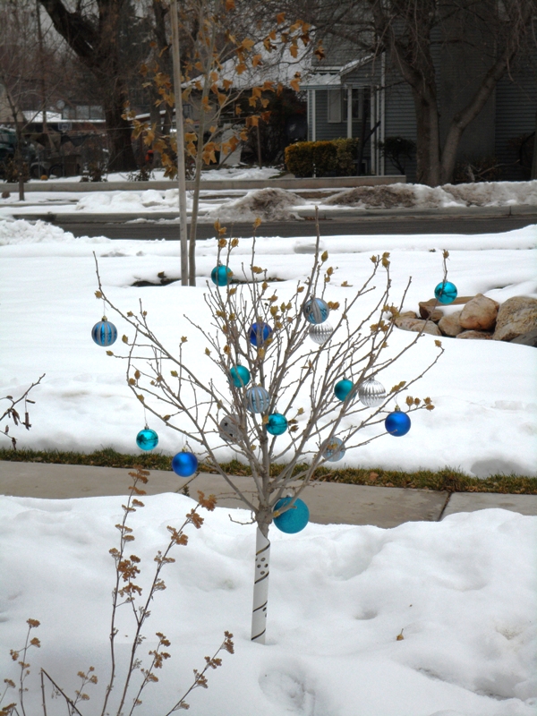 outside-christmas-tree-decorations