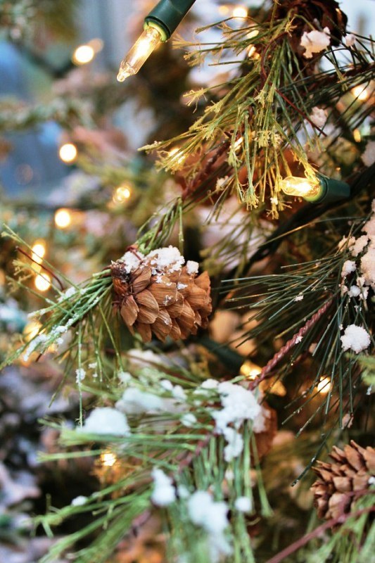 pine-cone-christmas-lights