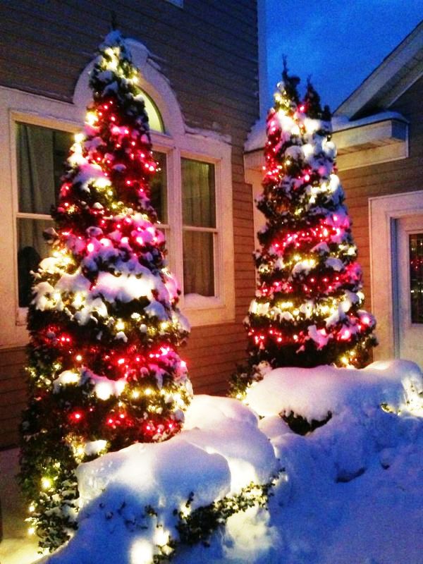 pinterest-outdoor-christmas-lights-design
