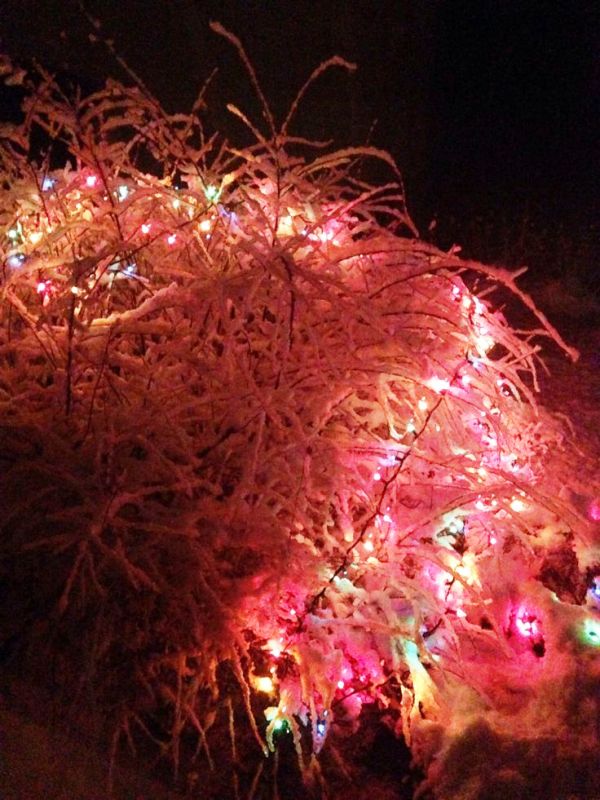 pretty-pictures-of-snow-and-christmas-lights