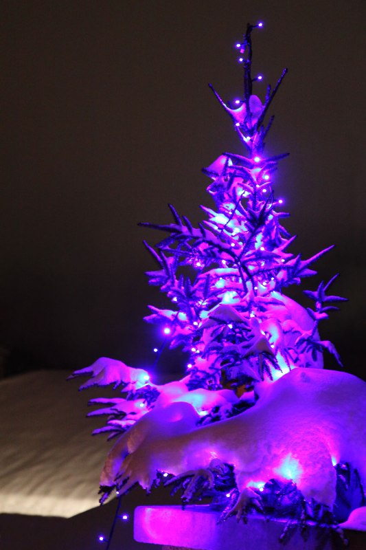 purple-christmas-tree-2015
