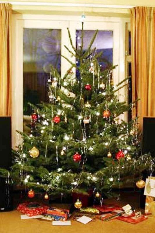 real-christmas-tree-decoration