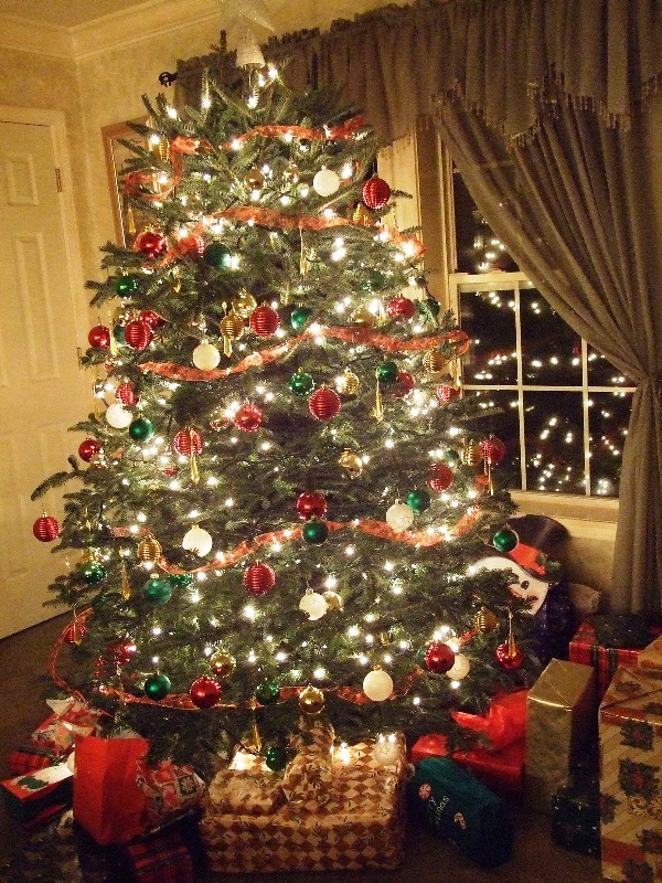 real-christmas-trees-fine-ideas