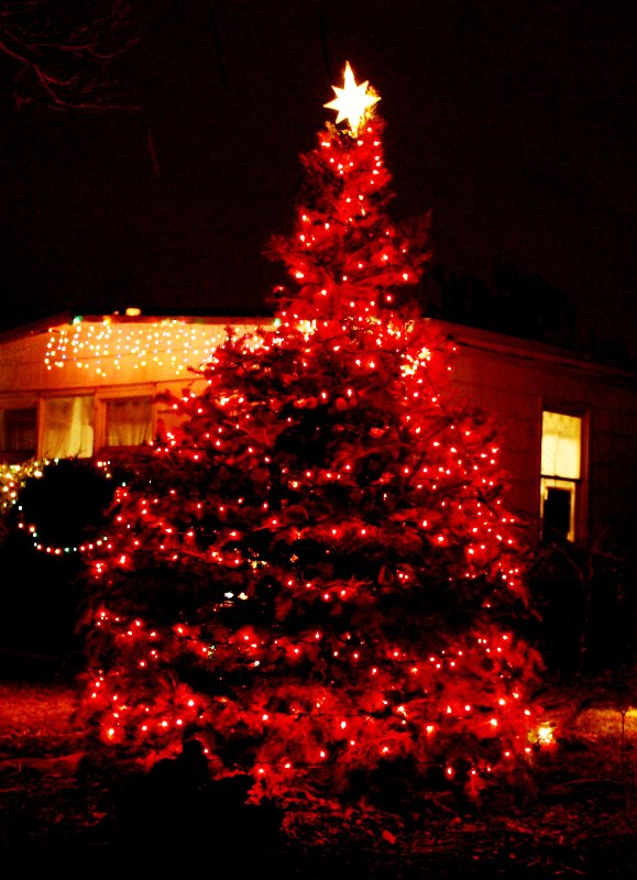 red-christmas-tree-with-lights-ideas