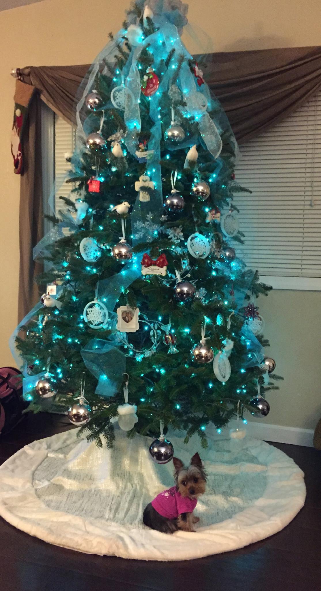 ribbons-christmas-tree-decorating-fine-design