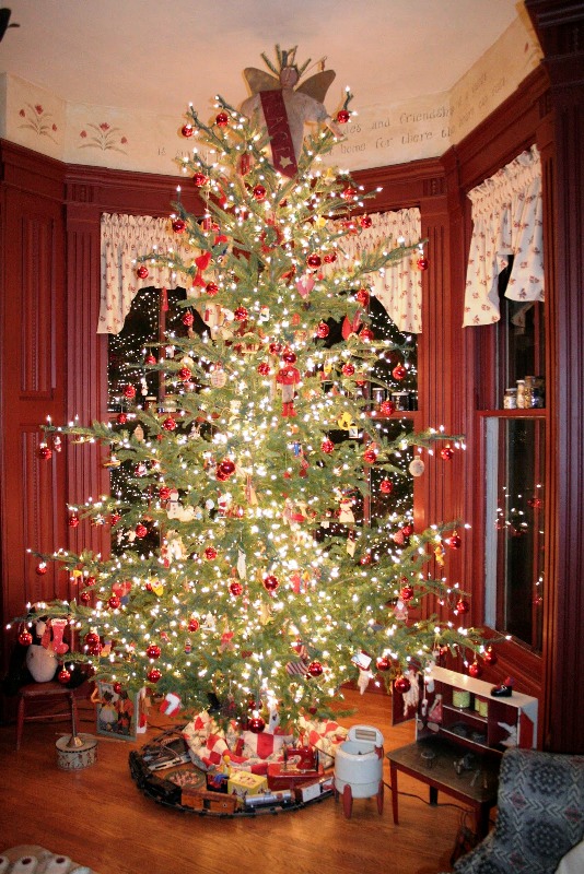 sandy-christmas-tree