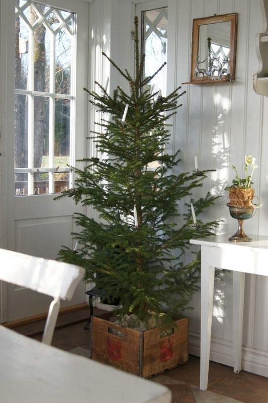 scandinavian-christmas-tree-fine-design-idea