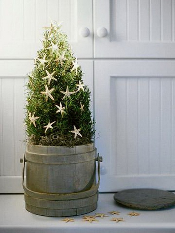 starfish-christmas-tree