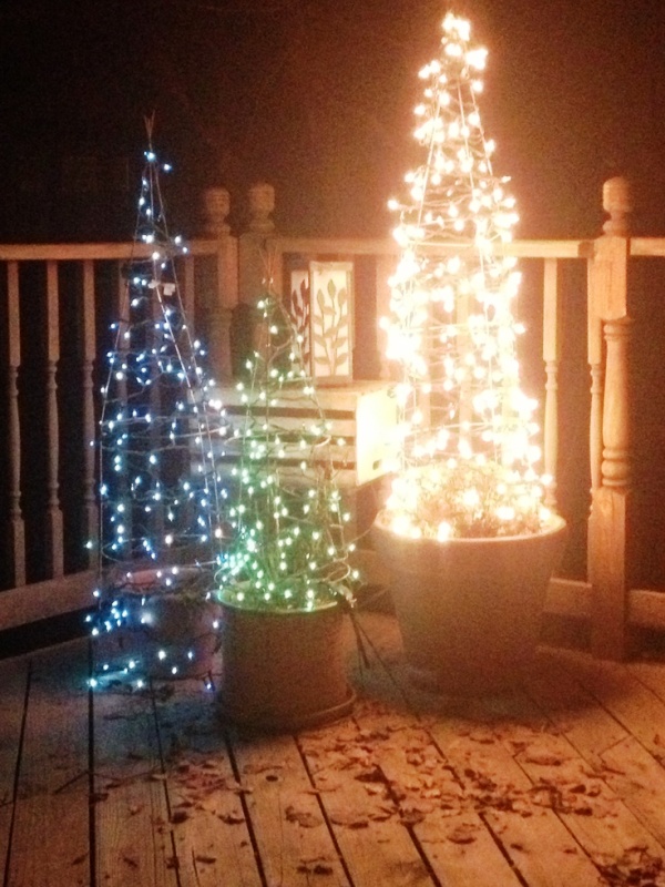 tomato-cage-with-christmas-lights