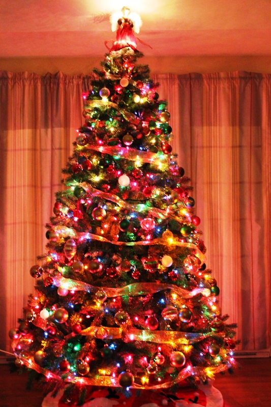 traditional-christmas-tree-2016