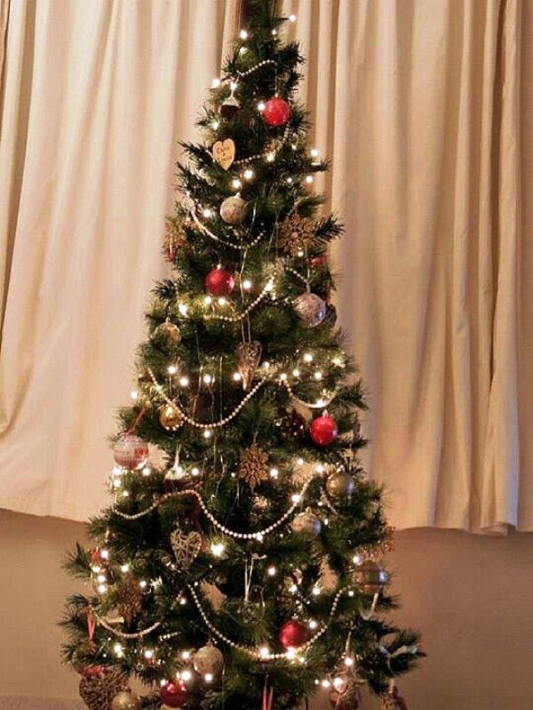 traditional-christmas-tree-design-view