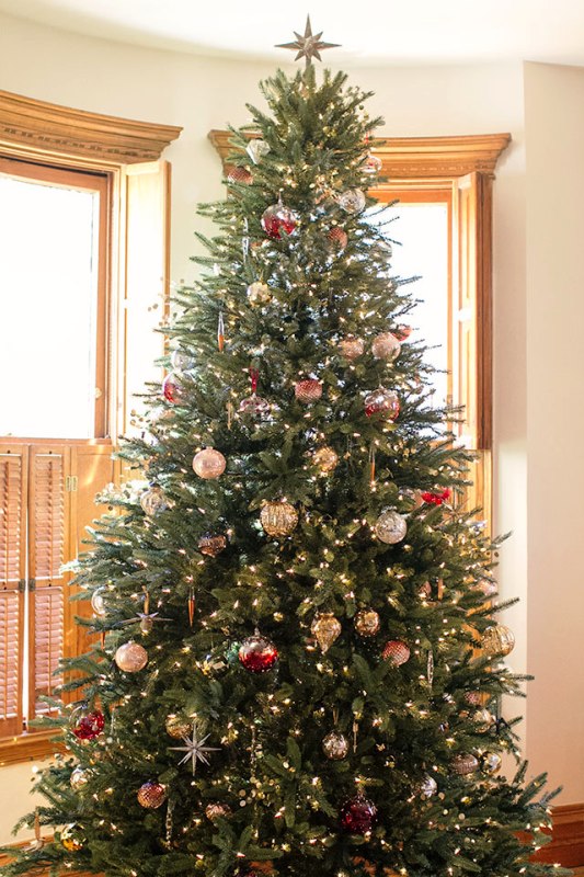 traditional-christmas-tree-green