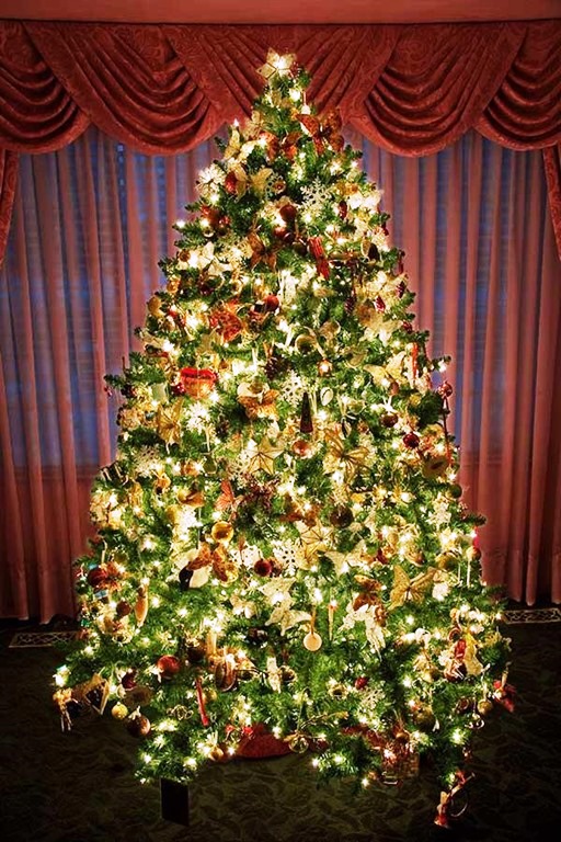 unique-decorated-christmas-trees