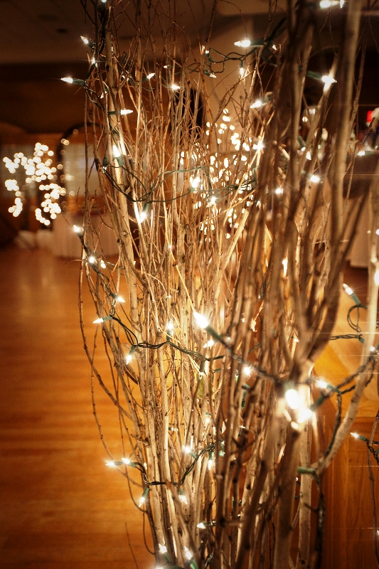 white-branches-with-christmas-lights