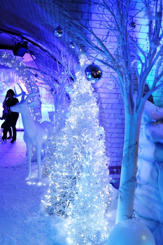 30 Wonderland Christmas Lights Decorations Ideas - Decoration Love