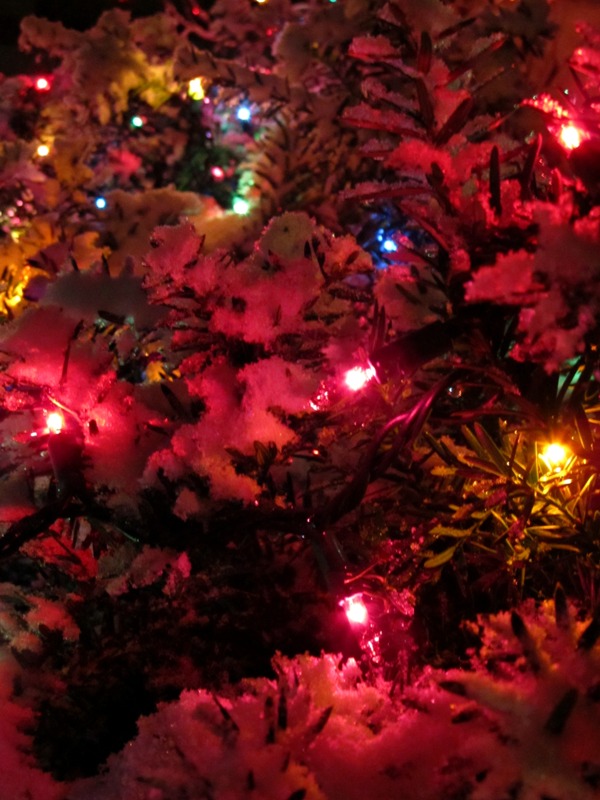 winter-christmas-fine-tree-design-ideas