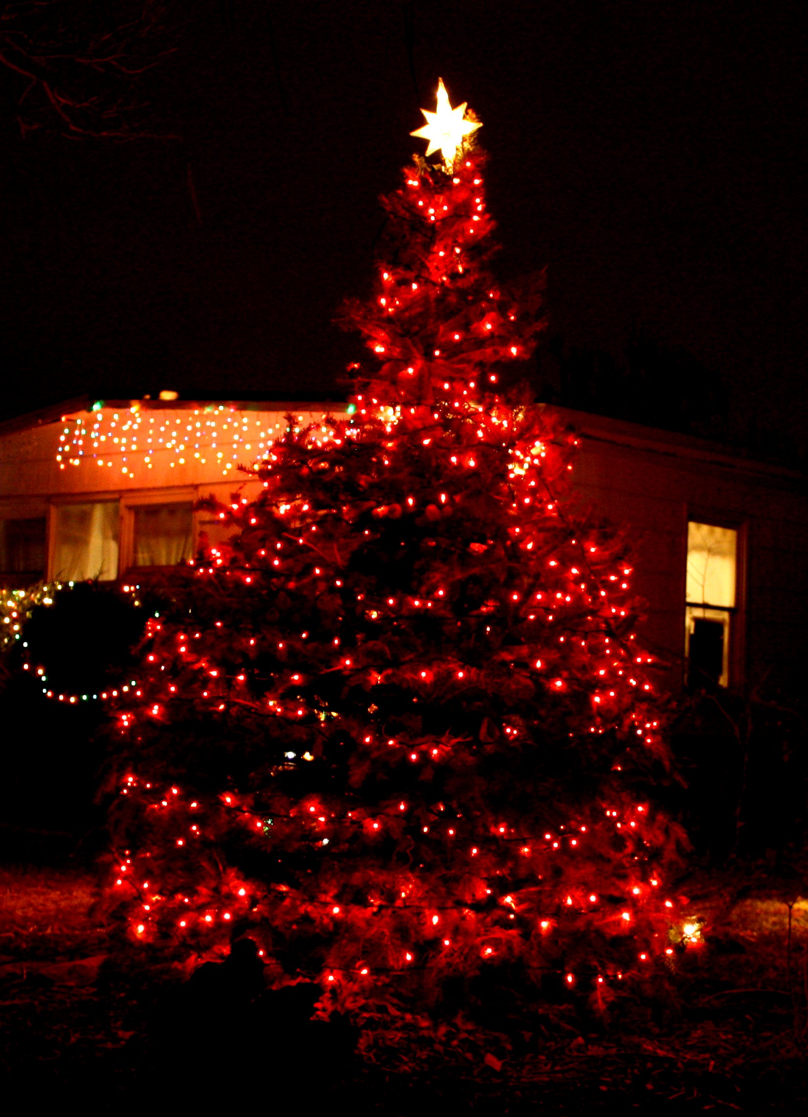 christmas_tree_with_red_lights