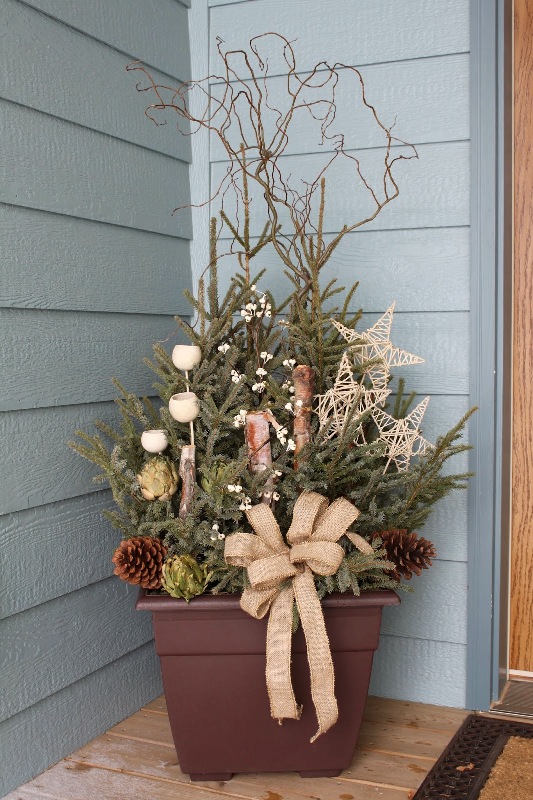 spruce-tip-pots-for-christmas-ideas