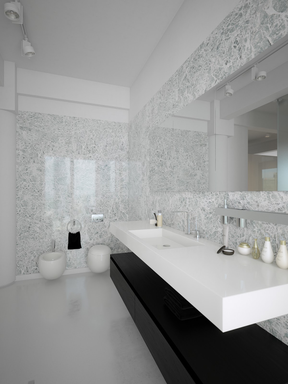Black white Contemporary Bathroom Design