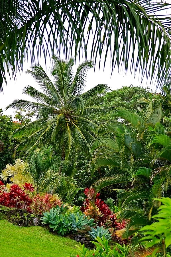 Beautiful Tropical Outdoor Gardens