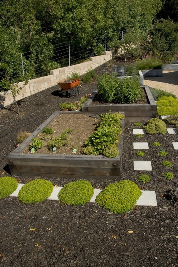 Midcentury Outdoor Garden Design