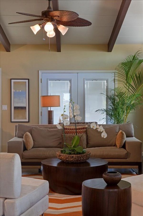 Tropical Living Room Design with Brown Couch
