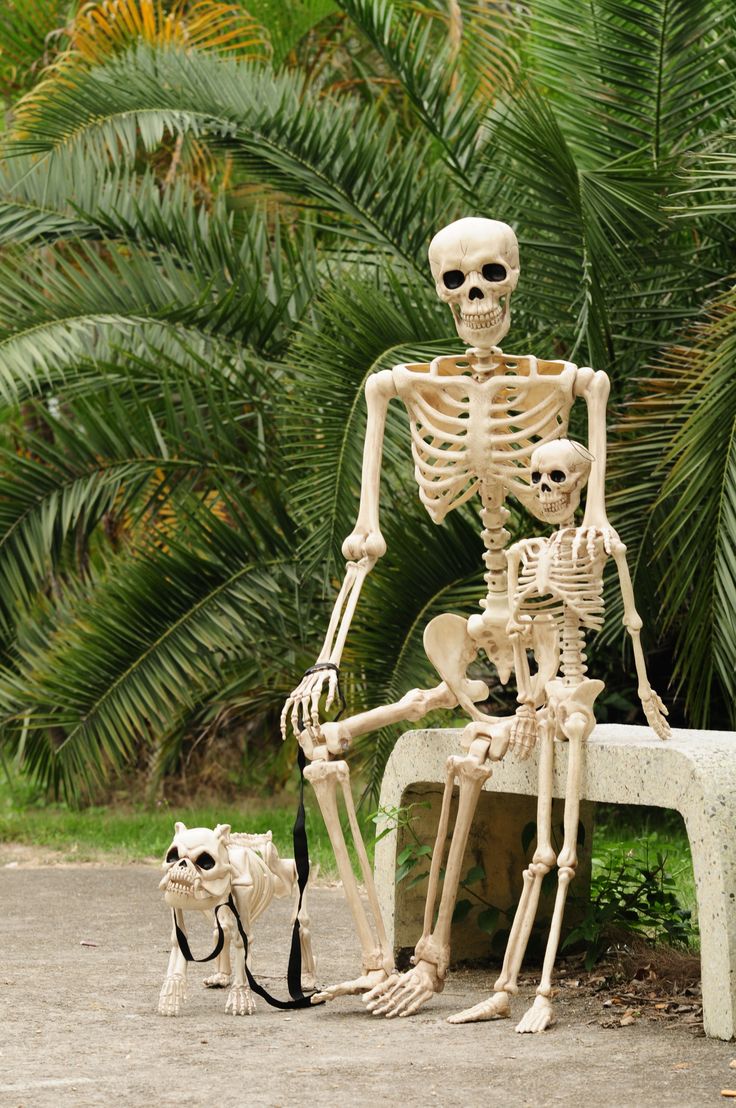 Crazy Bonez Skeleton Halloween Decorations