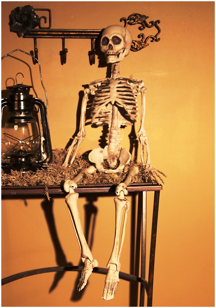 Plastic Bony Skeleton Halloween Decorations