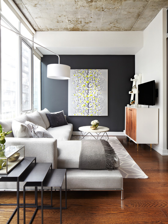 Contemporary Living Room Design Ideas