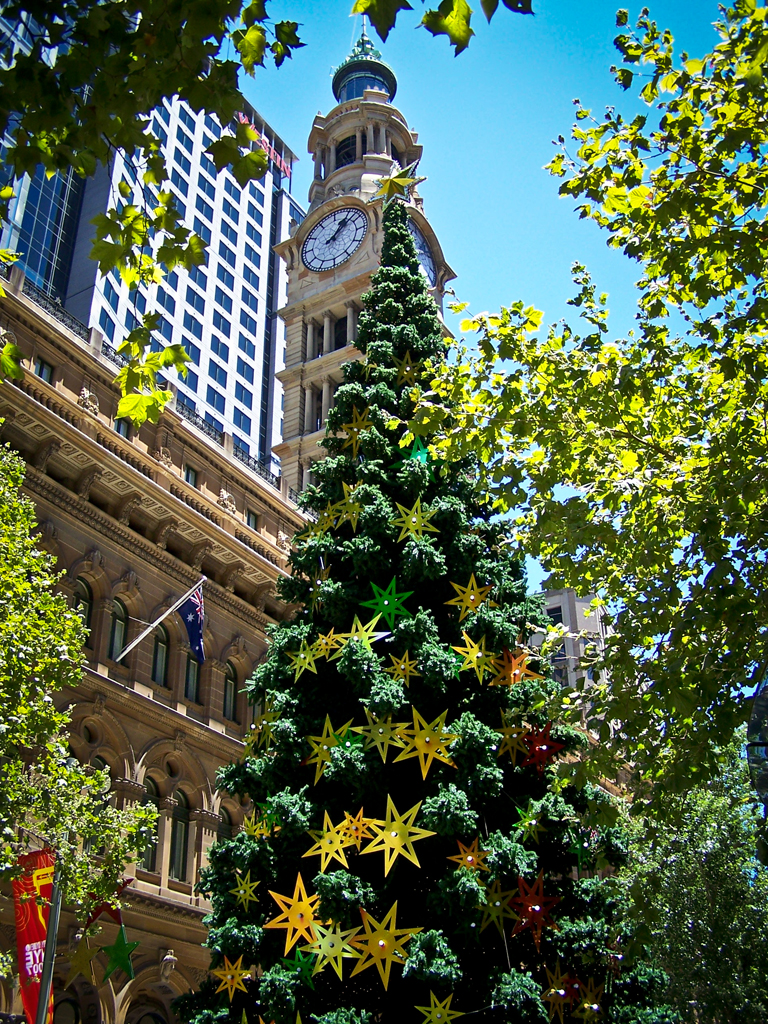 Martin Place Sydney Christmas Tree