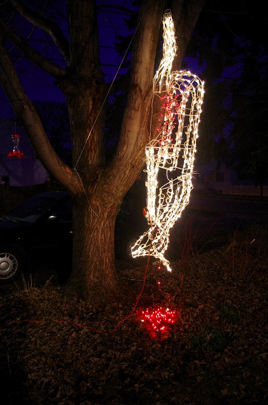 Redneck Hanging Deer Christmas Lights