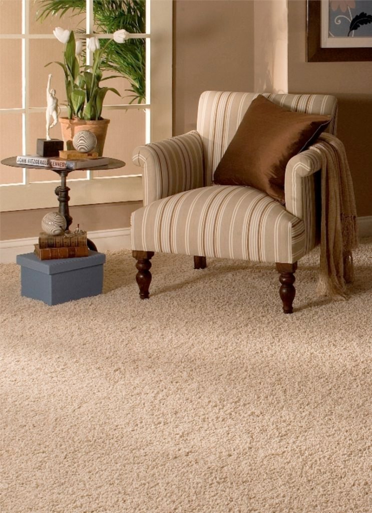 beige living room carpet        
        <figure class=