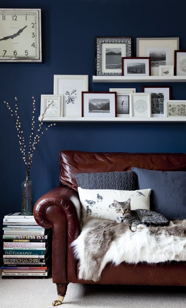 navy-blue-and-brown-living-room