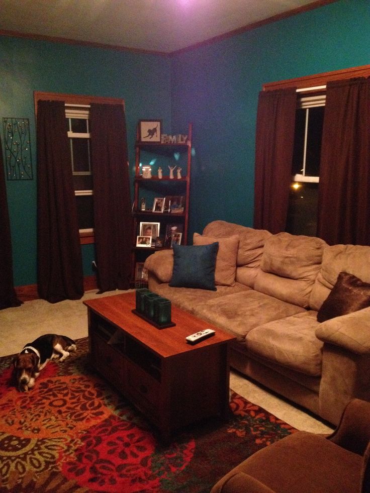 teal-and-brown-living-room