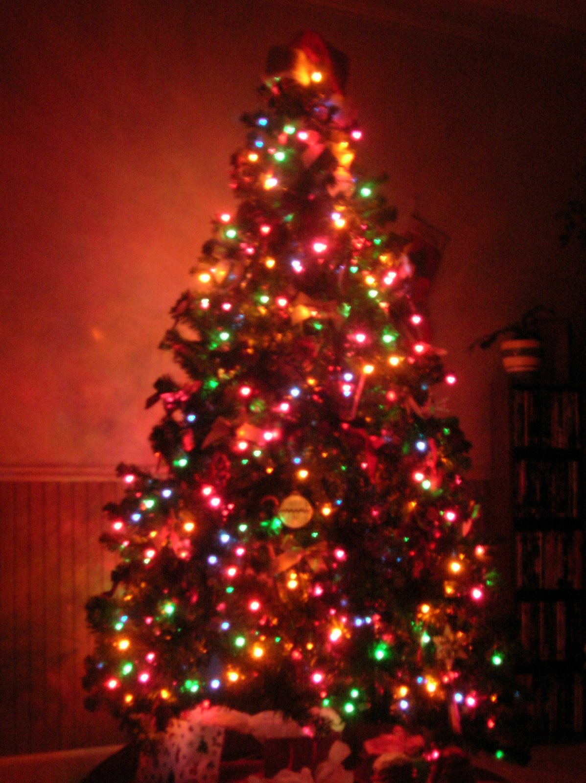 christmas-tree-with-colored-lights