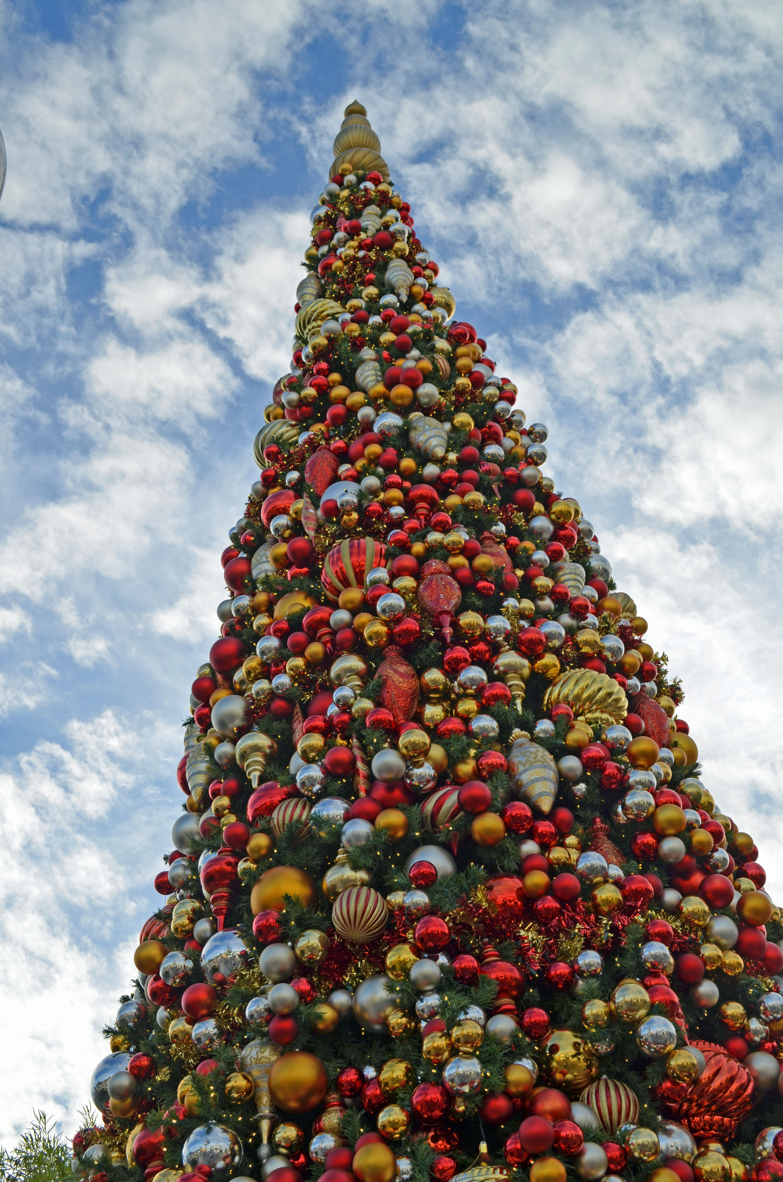 disneyland-christmas-tree