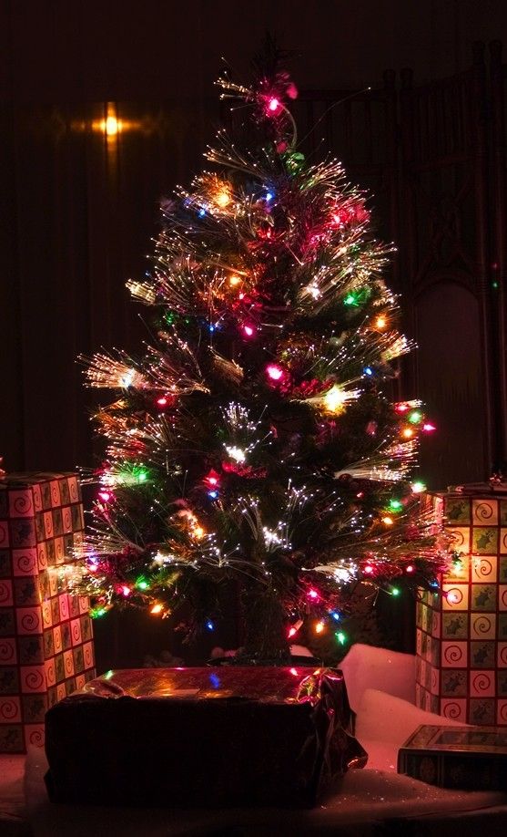 multicolor-christmas-tree-with-light