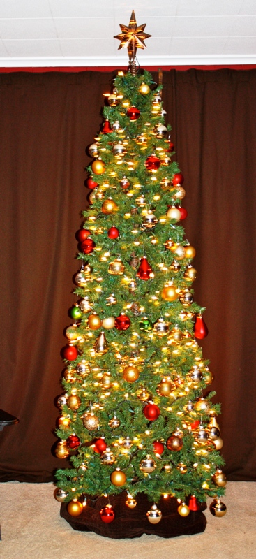 skinny-christmas-tree-design-view