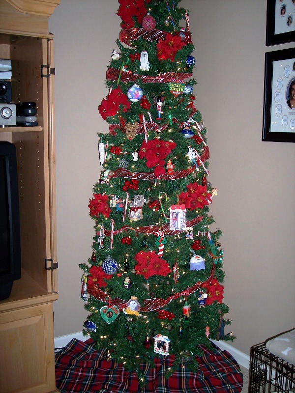 tall-skinny-christmas-tree