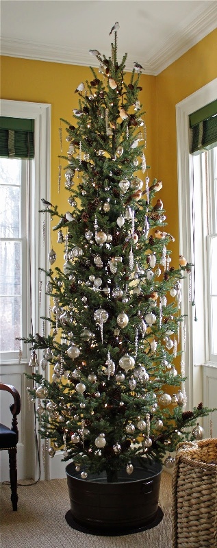tall-skinny-christmas-trees-fine-ideas